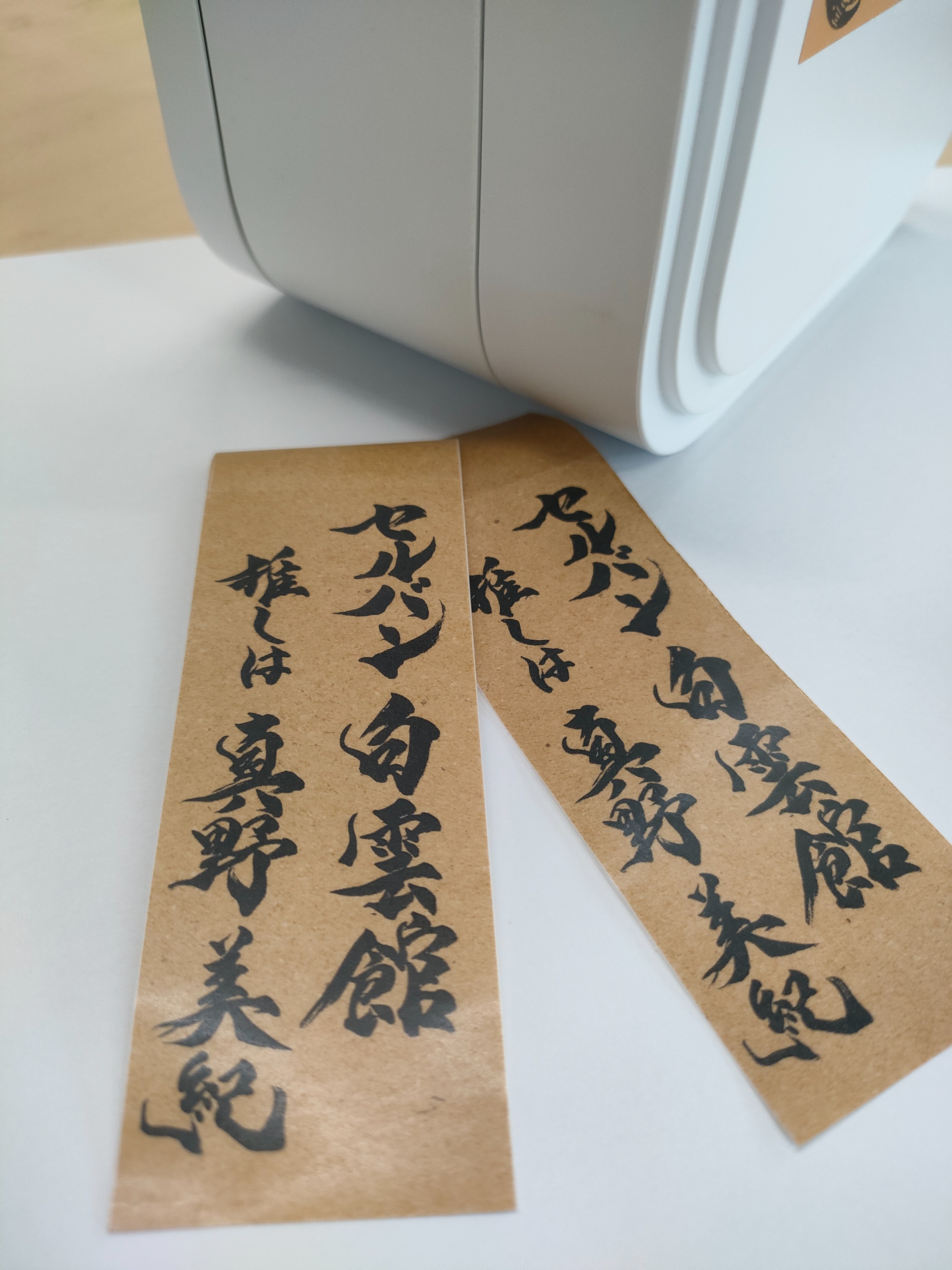 書家 しんらん 炎流 掛軸 厄除け 魔除け 書道作品 書家 しんらん 炎流 掛軸 厄除け 魔除け 書道作品