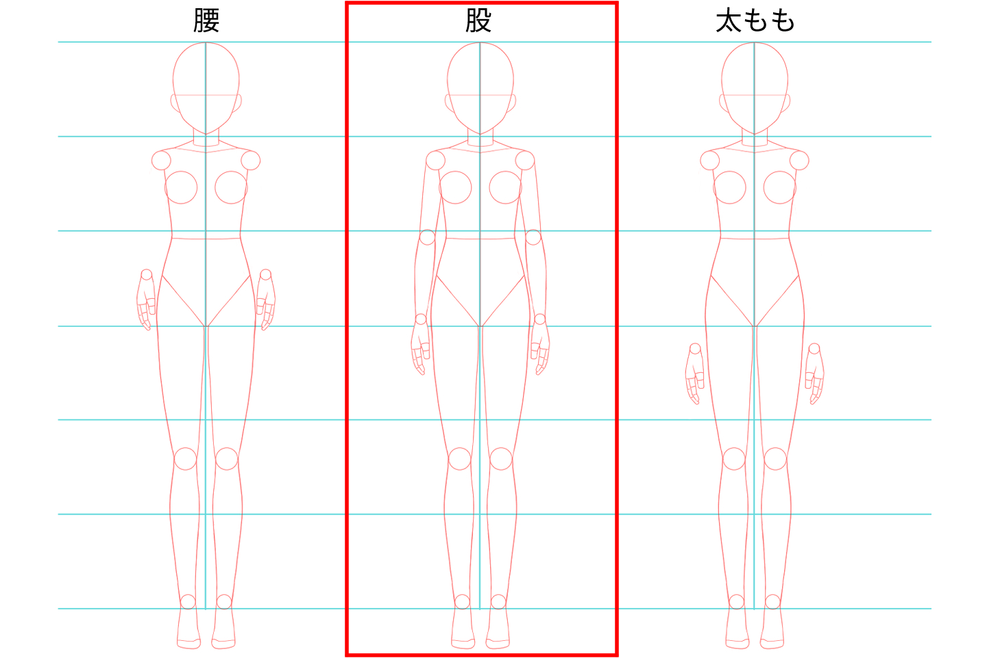 イラスト マンガ教室egaco エガコ キャラクターのアタリ描き方クイズ回答 6等身の全身絵 手首の位置は 股 におく が正解でした このバランスは男女共通です 全身絵を描く時は気を付けて描いてみましょう T Co 9abkfr3kup Twitter