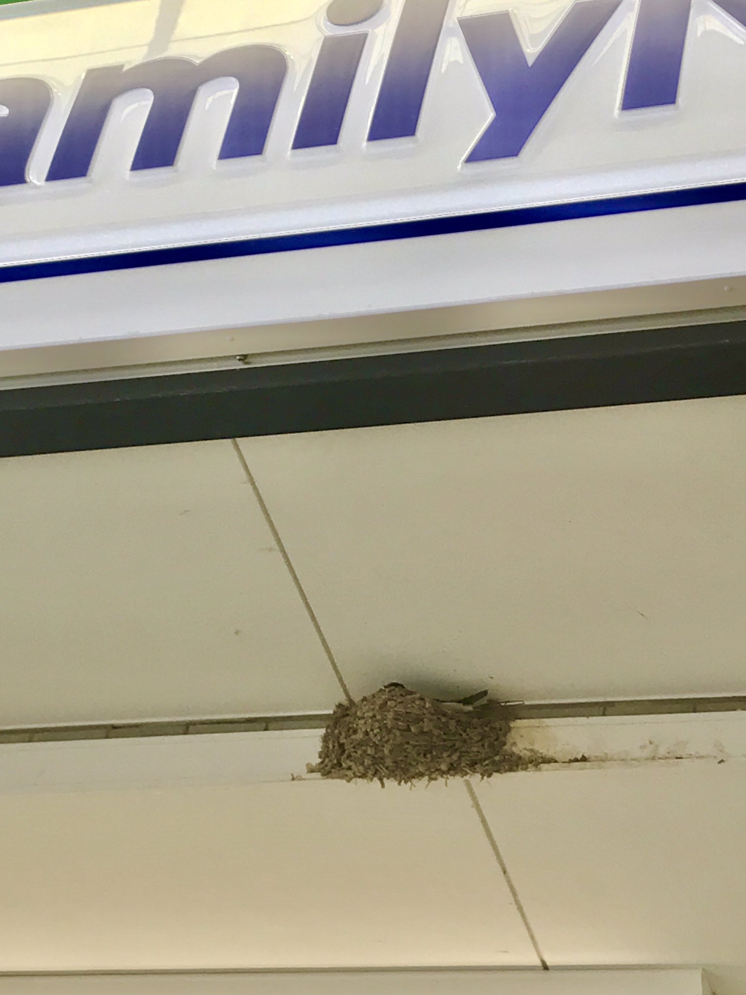 ポップンライブならまち Next 7 18comic City 福岡 三条通り側から もちいどのセンター街 のアーケードに入る角に ファミリーマート猿沢池店があります あぁーこういうの本当にいいわぁ 奈良時間 T Co Ojmxvfrzai Twitter