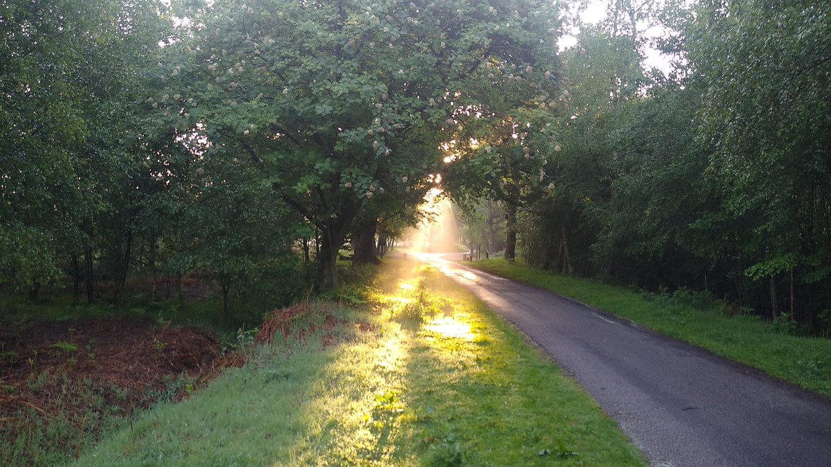 GGoldsbrough's tweet photo. Up with the #larks #skipwith #wrens #birdsong with the magic Peter baldrey #mornings should start like this @soniarcher @keeling_michael @Naomi_Barrow https://t.co/xdbKqNHOm6