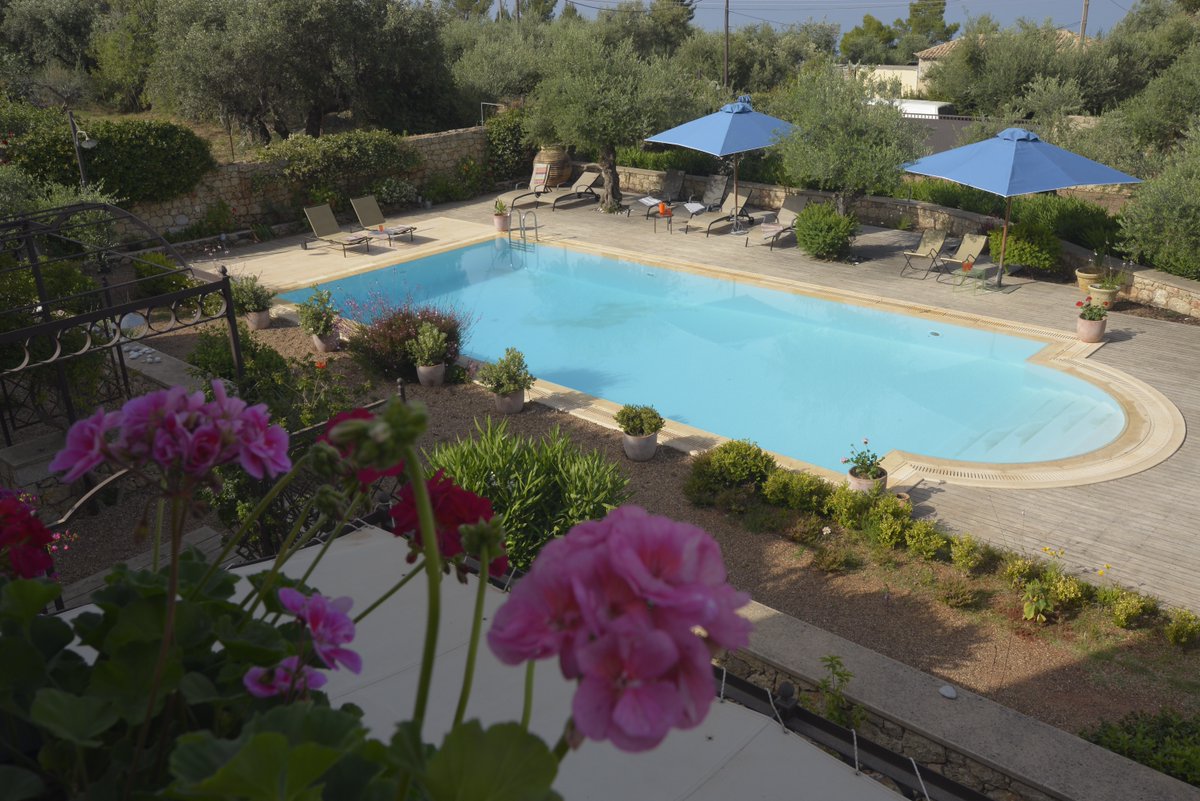 AriaHotelsGR's tweet photo. A stay at Liodentra can easily develop into a series of relaxing routines!
Plan a swim in the pool, unwind in our sun lounges    reading a book, or just listen to the sounds  of nature surrounding the property!

#liodentra #AriaHotels #Peloponesse #villa #pool #summer #vacation https://t.co/wgV0xGuhVe