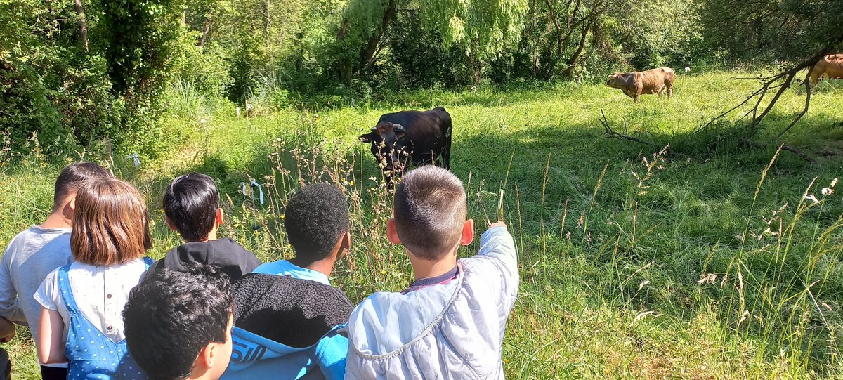 txominaresti's tweet photo. Bigarren mailakoak Getxoko ingurumen aretoan egon dira. Hau bai hau paraje polita!
Los de segundo han estado en el aula ambiental de Getxo. ¡Menudo paisaje!
#txominaresti #LH2 https://t.co/Jar8uS6VB8