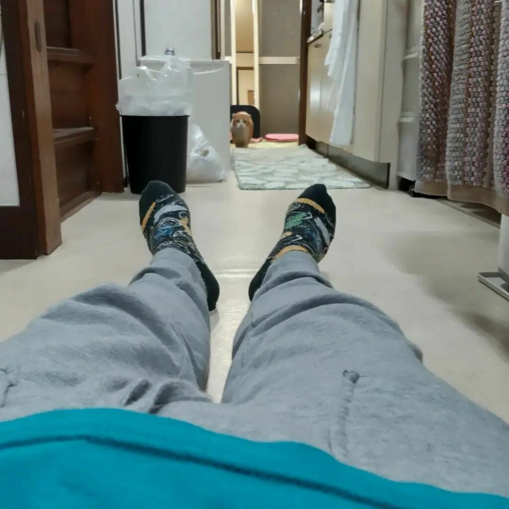 futsukayouko's tweet photo. 猫がよくわかんなく鳴きます。⁡
⁡
⁡餌でも追いかけっこでもないようなので⁡
⁡⁡
⁡いつもと違う場所に寝てみたら⁡
⁡⁡
⁡一瞬楽しそうだったのにすぐ冷たい視線を送ってきます。⁡
⁡⁡
⁡そのニャーニャーはなんなんすか？⁡⁡⁡

⁡ https://t.co/IdoTLQH0aX https://t.co/wARDbgWwS8