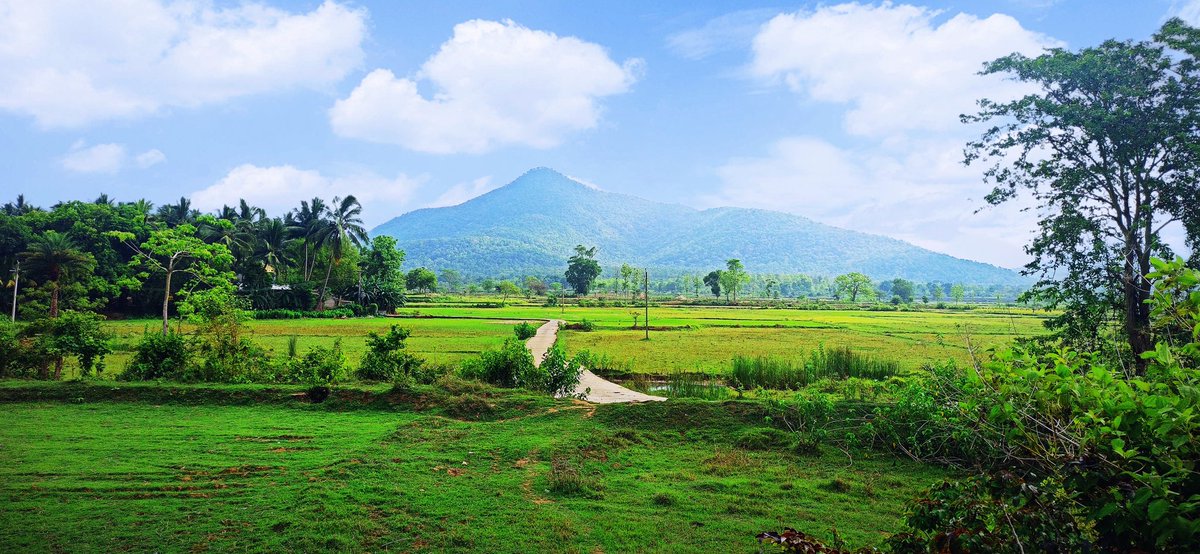 Nature is always beautiful 😄