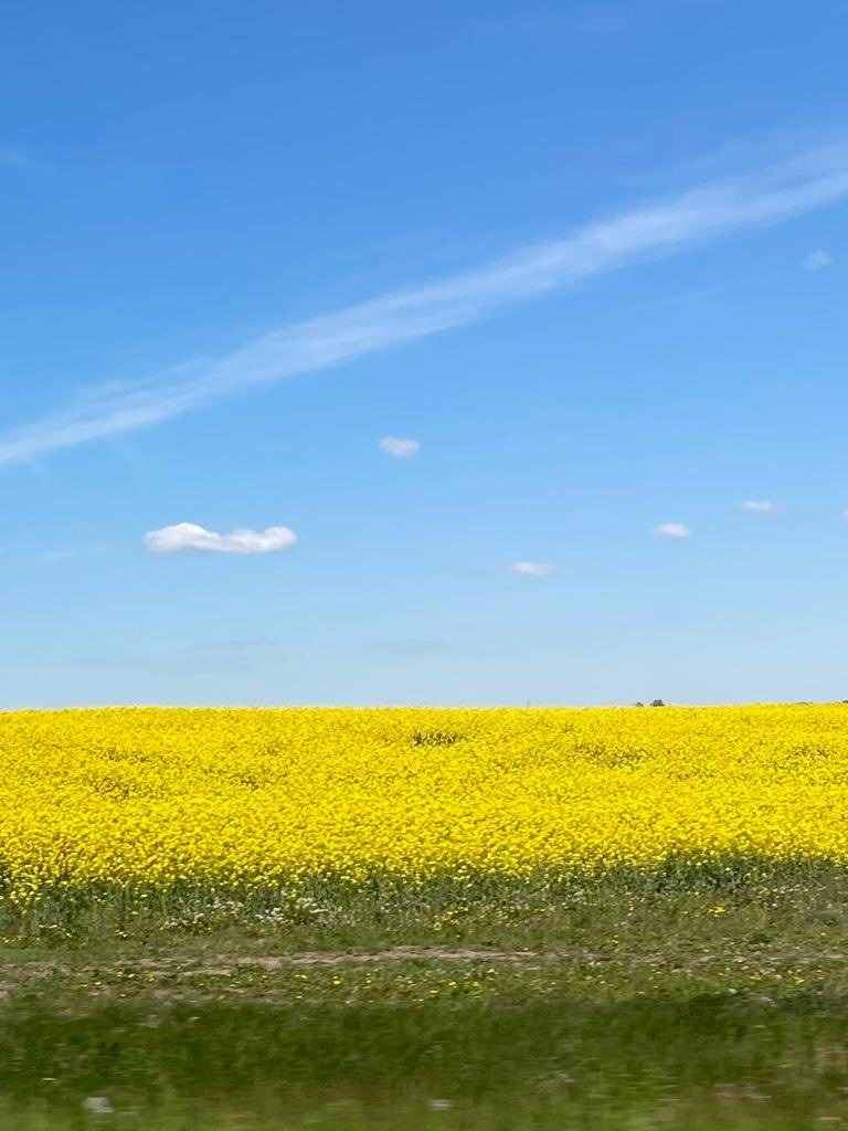 So, it turns out Ukraine really does look like the flag 🇺🇦

From my brother ⁦<a href="/SanthouseTim/">Tim Santhouse</a>⁩