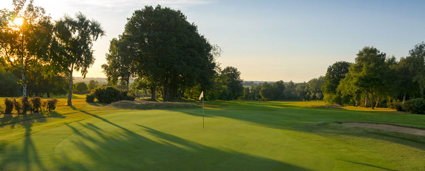 Golfers CBD tweet media