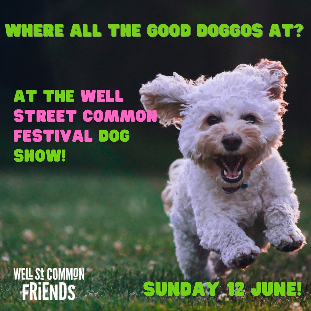 WellStCommon's tweet photo. All dogs welcome at the
#wellstreetcommonfestival dog show! There'll be rosettes for winners, so make sure you arrive early to sign up...
#wellstreetcommon #dogs #hackney #victoriapark #wellstreet https://t.co/6jfVZz9diT