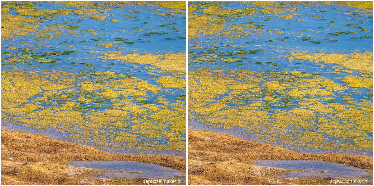 DePuzzelmaker's tweet photo. ZOEK HET VERSCHIL
(verklap svp niet het antwoord, like = ik zie het!)
#DePuzzelmaker #puzzel #puzzelen #puzzels #zoekdeverschillen #spotthedifference #zoekhetverschil #natuur #water #alg #meertje #zwemmen #moeras #abstractekunst #algen https://t.co/e6hPw9wA0n