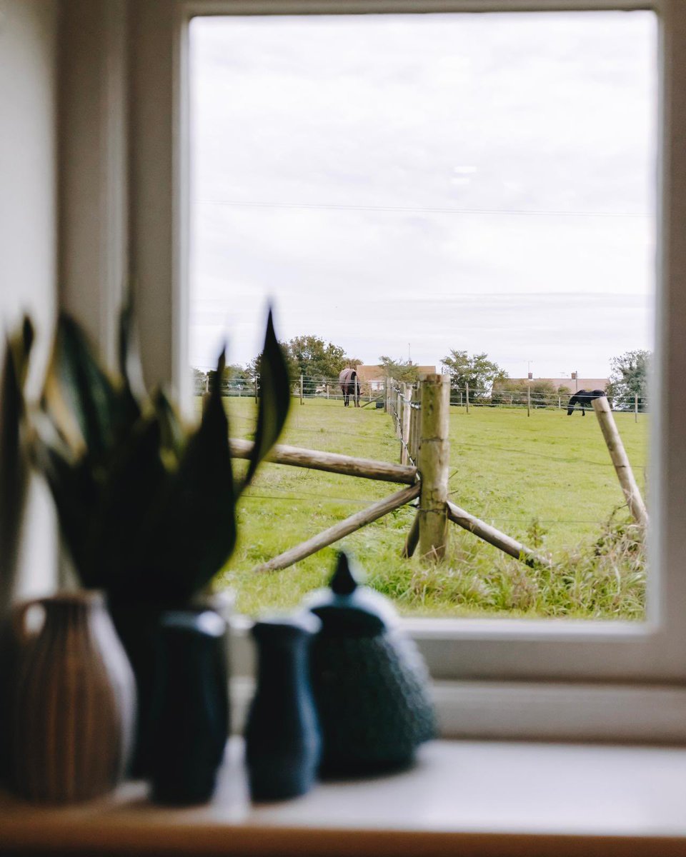 thegintrapinn's tweet photo. Norfolk countryside views from The Cadaman Cottage 🌾
#wakeuptothis #beautifulnorfolk https://t.co/rOLYhjSEv7