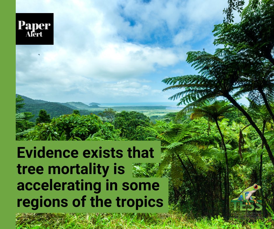 New paper published by Tessian's Susan G. W. Laurance, Lucas A. Cernusak and team. 

Read it here - nature.com/articles/s4158…