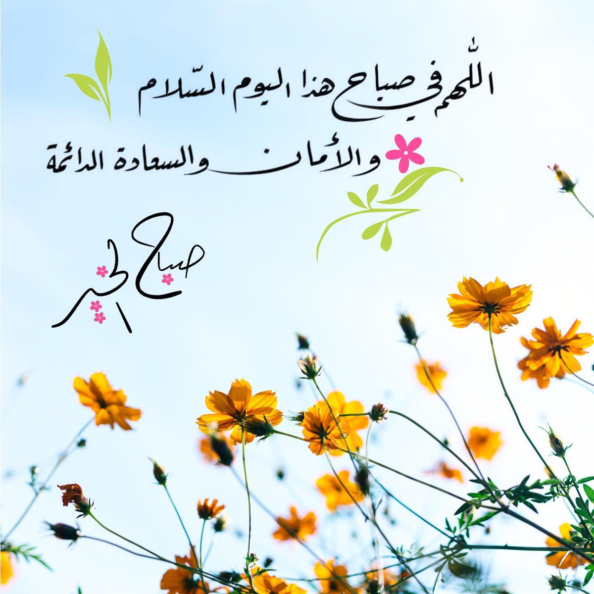 Abath111's tweet photo. 🎼
اللهم في هذا اليوم السۜلام والأمان والسۜعادﮪ الدائمہ
#صباح_Iلخير🌹🌺
#ذڪرێ_الرحيــل https://t.co/afJhHLqt2f