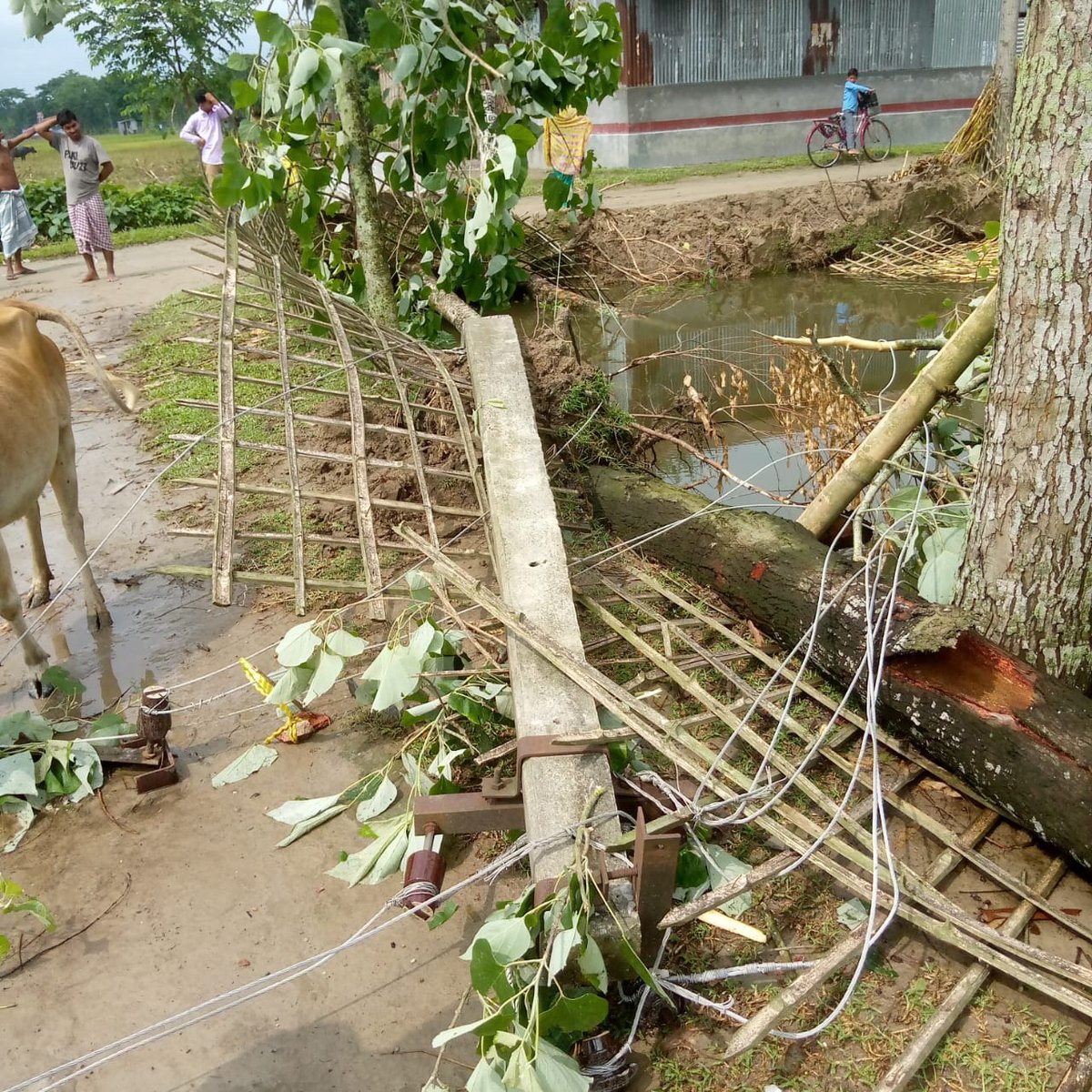 apdclsocial's tweet photo. যোৱা কেইদিনমানৰ পৰা প্ৰচণ্ড ধুমুহা আৰু নেৰানেপেৰা বৰষুণৰ ফলত অসমৰ বিভিন্ন ঠাইত কেইবাটাও বৈদ্যুতিক আন্তঃগাঁথনিৰ ক্ষতিগ্ৰস্ত হৈছে। তাৰবাবে যিমান সম্ভৱ 
এপিডিচিএলৰ কৰ্মচাৰীসকলে অতি সোনকালে লাইনবোৰ পুনৰুদ্ধাৰ কৰিবলৈ উঠিপৰি কাম কৰি আছে। 

@CMOfficeAssam 
@BimalBorah119 https://t.co/M1Kxi4kay6