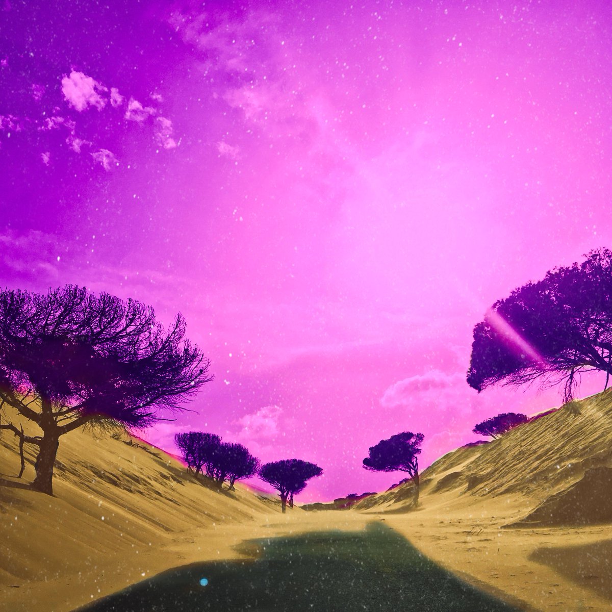 💖 Pink Skies
💖 1/1 Personal Photography
💖 Pink Sky love
💖All created with passion &amp; love
💖0.333 $ETH

foundation.app/collection/pink

#NFTartist #nftcollectors #NFTartist #NFTdrop #nftcollectors #NFTCommunity #NFT #NFTNews #NFTs #NFTCommunitys #ETH