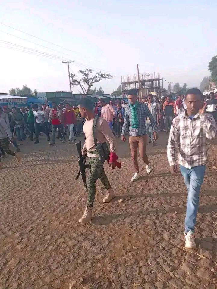 Sabi92409431's tweet photo. ሀገር አይብቃኝ በማለት ያዙኝ ልቀቁኝ ያሉት ጃውሳዎች በዚህ ሰዓት ያሉበት ቦታ እንኳን አይታወቅም!#OneEND #Ethiopian_Defense @MikeHammerUSA @Reuters @ChrisCoons @bpolitics @BBCAfrica @HouseForeign @CNNAfric @EUSR_Weber @SFRCdems @SenateForeign https://t.co/F7VuPenJBY
