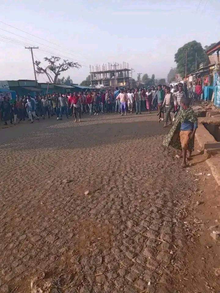 Sabi92409431's tweet photo. ሀገር አይብቃኝ በማለት ያዙኝ ልቀቁኝ ያሉት ጃውሳዎች በዚህ ሰዓት ያሉበት ቦታ እንኳን አይታወቅም!#OneEND #Ethiopian_Defense @MikeHammerUSA @Reuters @ChrisCoons @bpolitics @BBCAfrica @HouseForeign @CNNAfric @EUSR_Weber @SFRCdems @SenateForeign https://t.co/F7VuPenJBY
