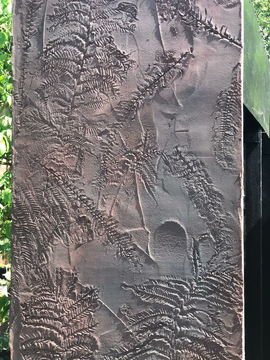 The amazing wall from Tom Hoblyn’s Boodles Travel Garden. 🌿
These impressions were made by pressing huge fronds into the wet render material. Just gorgeous!
@tomhoblyn 
<a href="/The_RHS/">The RHS</a> 
.
.
#ChelseaFlowerShow #gardening #gardener #gardendesign #gardendesigner #oxted #surrey #RHSChelsea
