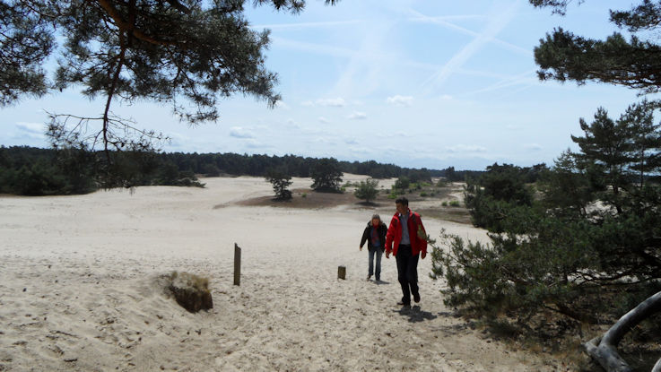 JaapdeVries20's tweet photo. Vanochtend trekt er een regenzone van west naar oost over het land. Tussendoor breekt ook de zon af en toe door, met name in het zuiden. In de middag ontstaan er vooral in het oosten stevige #onweersbuien en veel regen in korte tijd. #lente #veluwe https://t.co/EXyRgrhVUB