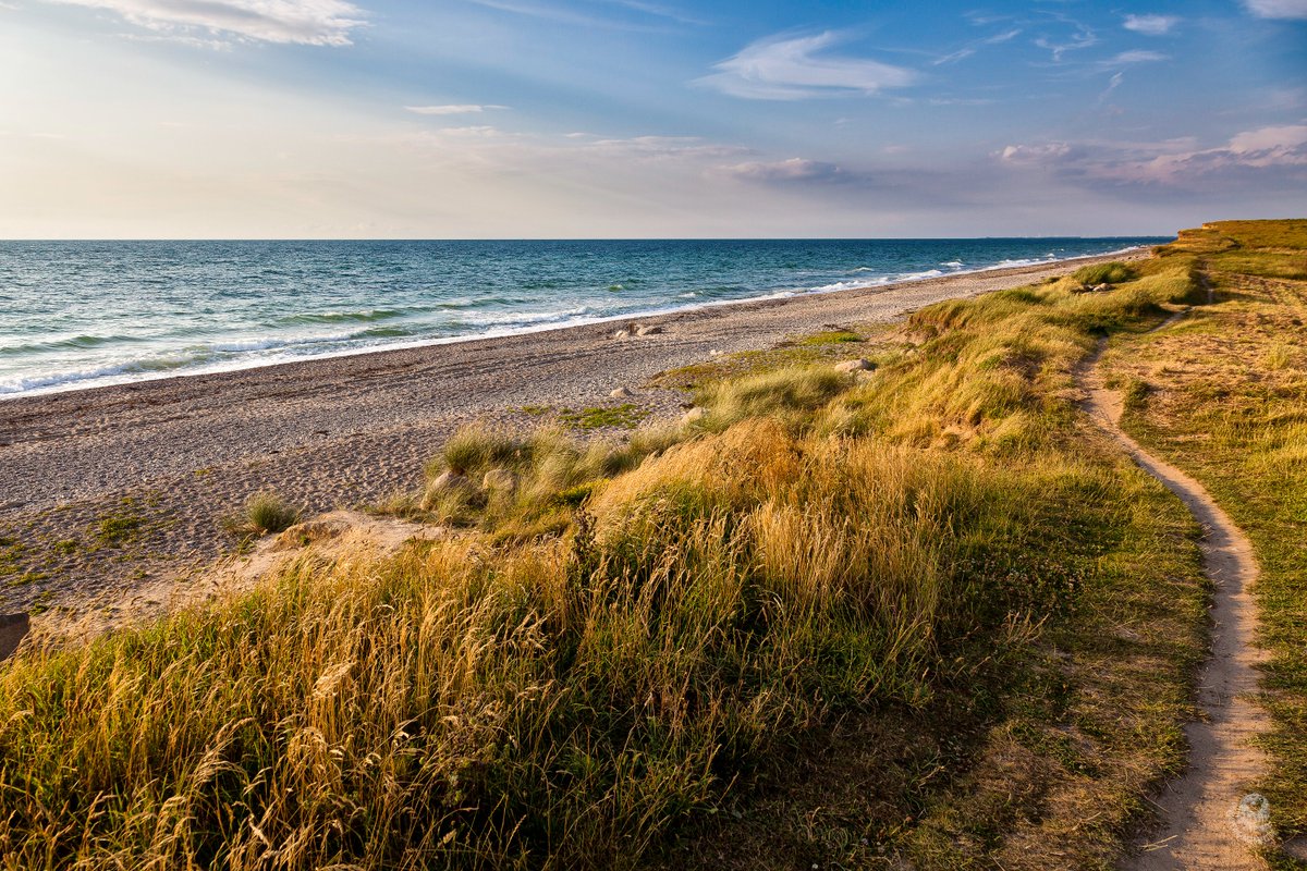 allavoro_de's tweet photo. Für die, die gerade gerne am Wasser wären, aber nicht da sein können. Ja, ist schon wieder #Dazendorf. Nein, ist immer noch kein toller #Badestrand. Nu nölt da ma nich rum, genießt den Blick ins Nichts.
#Ostsee #Ostholstein https://t.co/A4fCWjFQQf