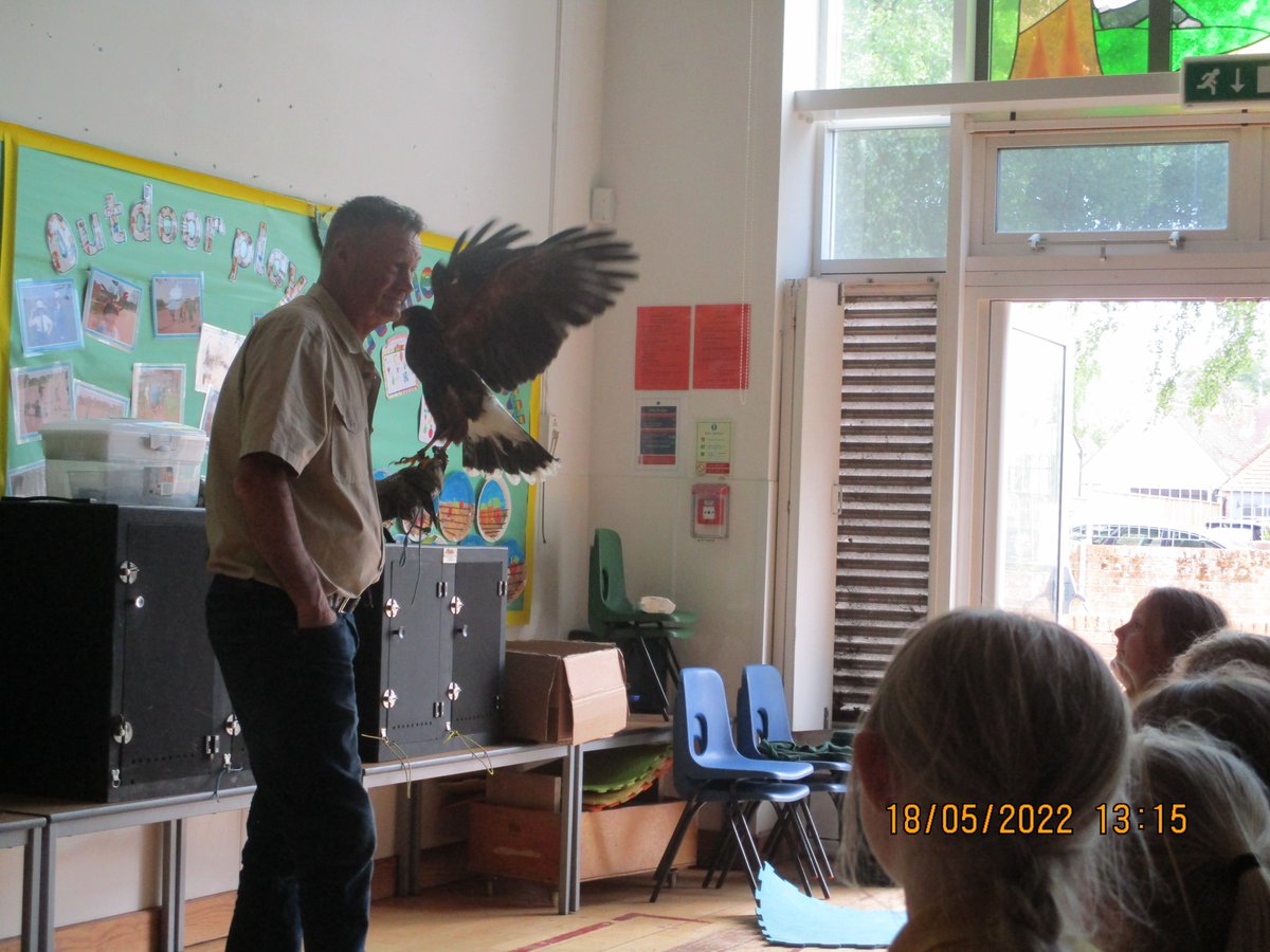 StNicholasCPS's tweet photo. As part our Birds in Trees Art topic and Living things in Habitats Science topic, year 3/4 were visited by Martin from North Devon Falconry. We spent the afternoon with him and his birds learning about their lives in the wild, how to look after and train and perform with birds. https://t.co/W59oN1s09y