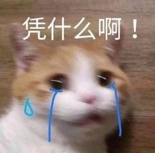 凭什么最近的空气都充满了恋爱的酸臭味