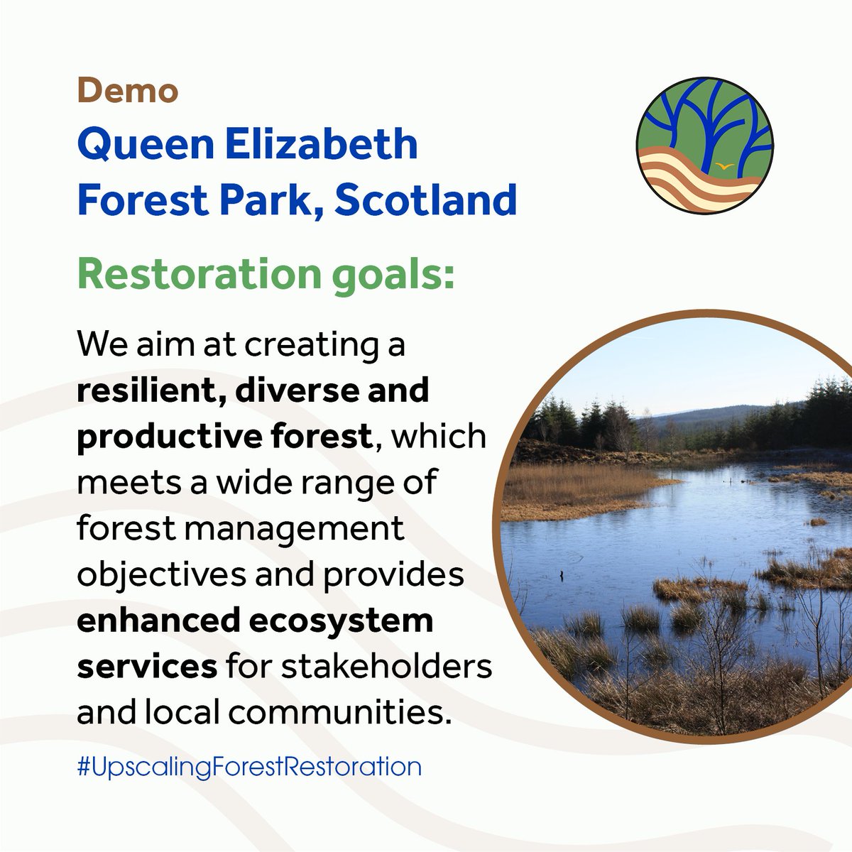 SUPERB_project's tweet photo. Our #SUPERBproject restoration goal is a real multifunctional #forest: We want to provide for #tourism and #recreation, #carbon sequestration, #biodiversity but also harvest timber from conifer plantations.
#UpscalingForestRestoration https://t.co/FALjok3MxR