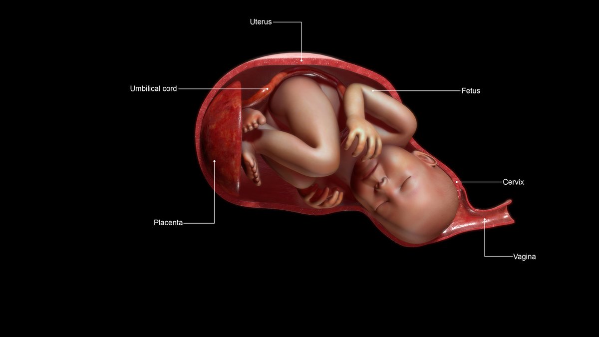 Learn more about what's ideal and what's not when it comes to your baby's position at birth.

medicine.com/health/what-kn…