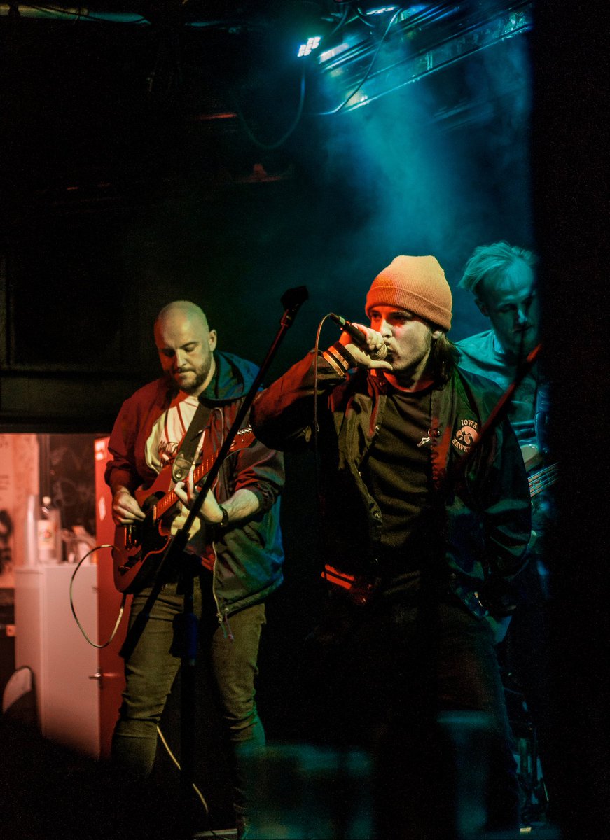 Lunamoss 🦇 tweet media