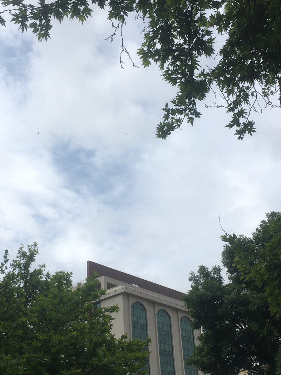 yazin gelecek gibi bi niyeti yok 🥲