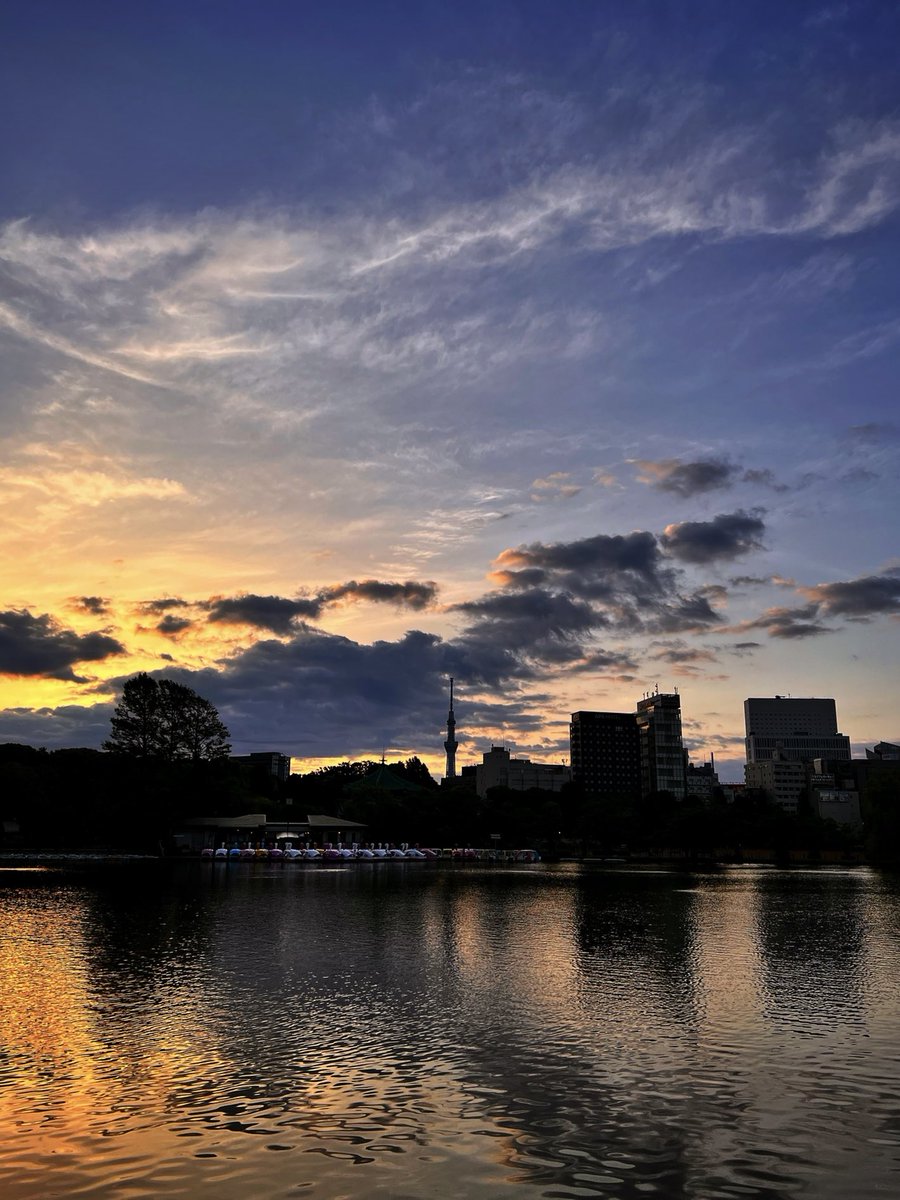 yanesen's tweet photo. この時期よく見る二層雲と朝日のレイヤー。早起きするとイイ事あります。
#写真
#空
#不忍池
#上野公園 https://t.co/6rJKmtkv8L