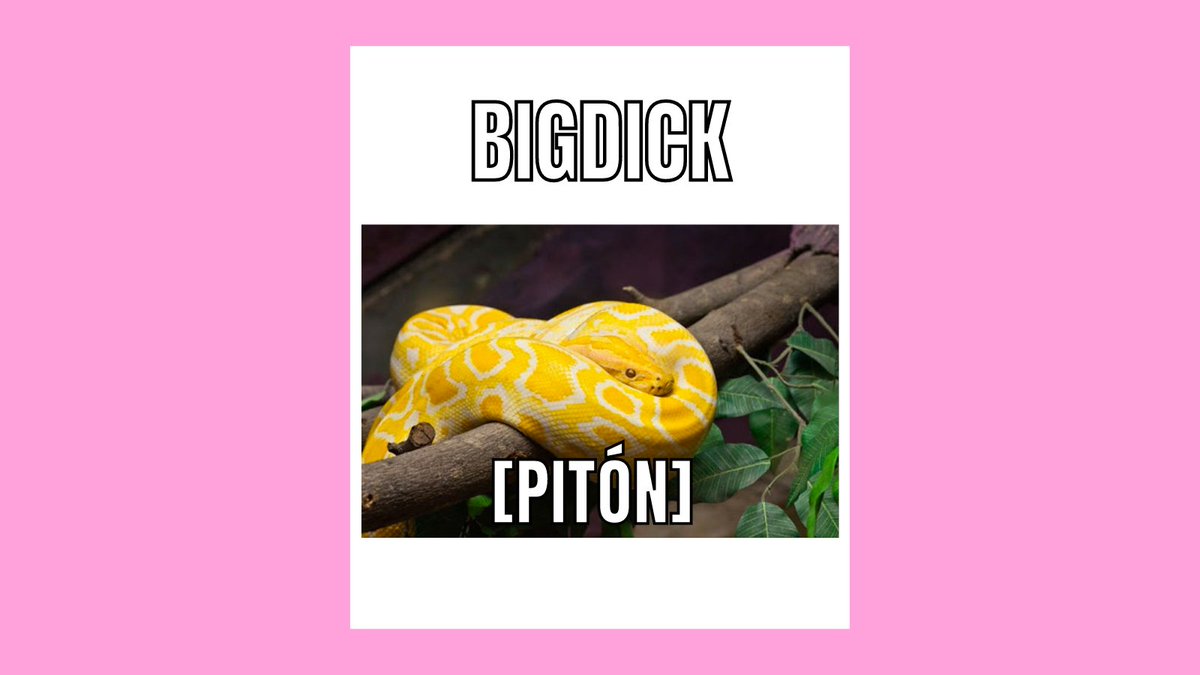 Condonesmix's tweet image. Nos encantan estos memes, y hoy hemos querido crear el nuestro😳