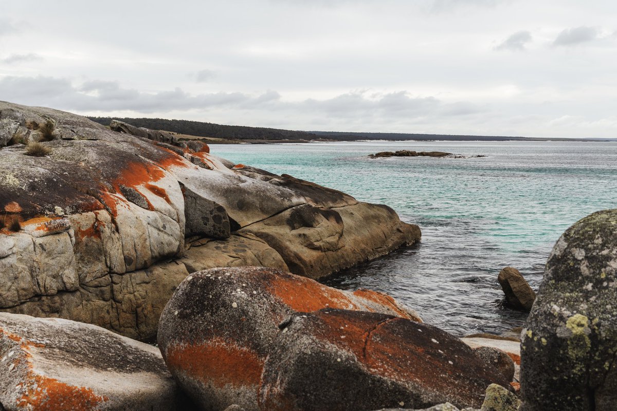 jiridavid_'s tweet photo. Bay of Fires, Tasmania, AUS

#Australia #tasmania #sunsetphotography #roadtrip https://t.co/W1mhqYRfOq