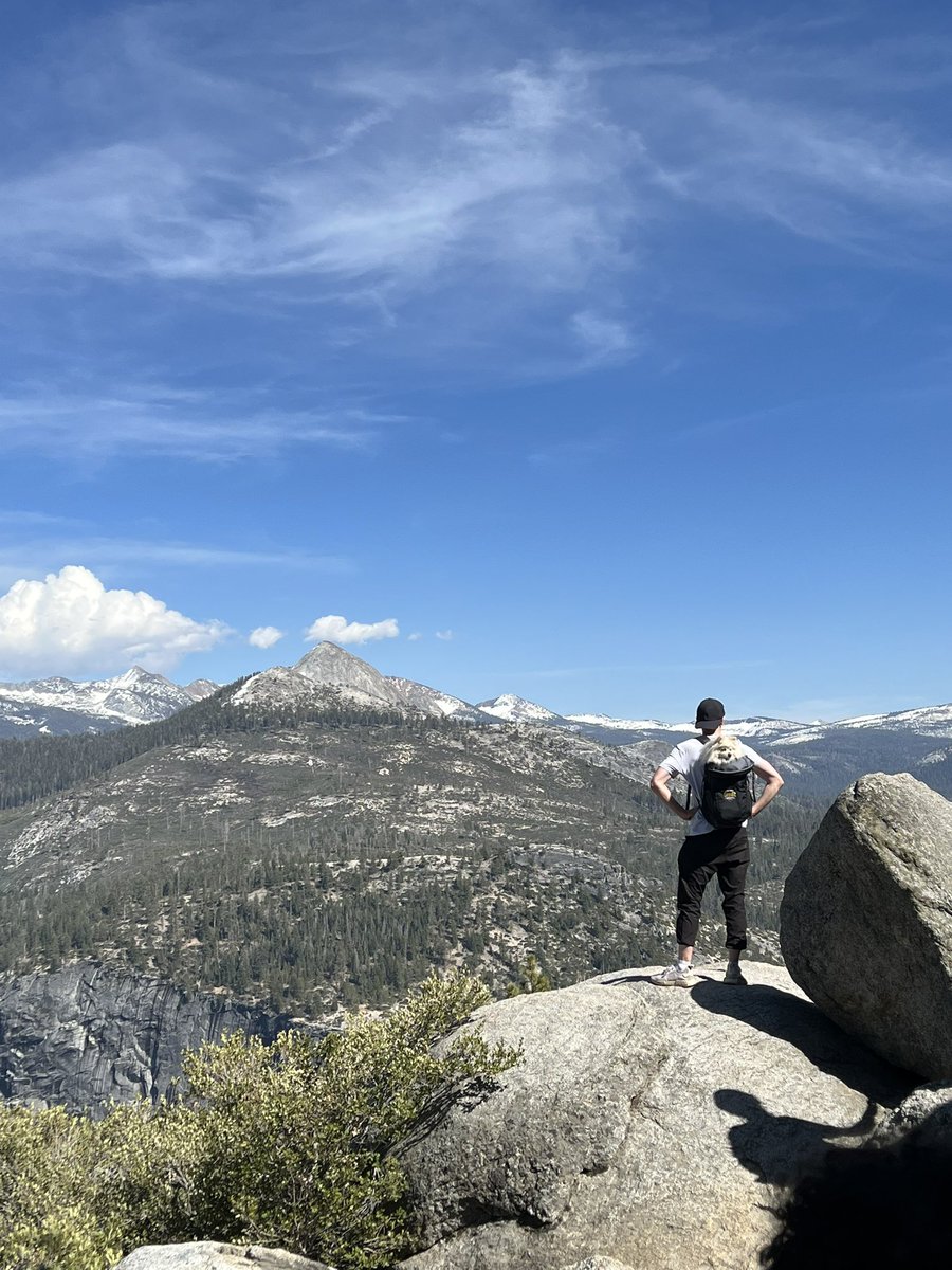 Hiked to the top of Yosemite with big Ted, 10/10 never doing it again