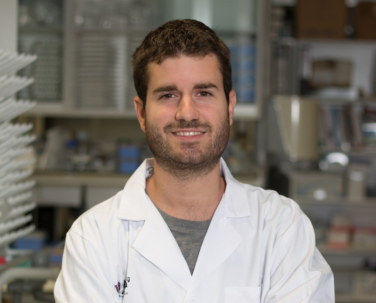 IRBLleida_Info's tweet photo. 🆕 cat_ L’investigador Pau Marfull-Oromí, guardonat per la seva recerca amb el premi Mark A. Smith de la Societat Internacional de Neuroquímica
🆕 esp_ Realizó su doctorado en el grupo Neurobiología Molecular y del Desarrollo de la @UdL_info y el IRBLleida
https://t.co/rBLssQyiK7 https://t.co/kg74jC9ctm