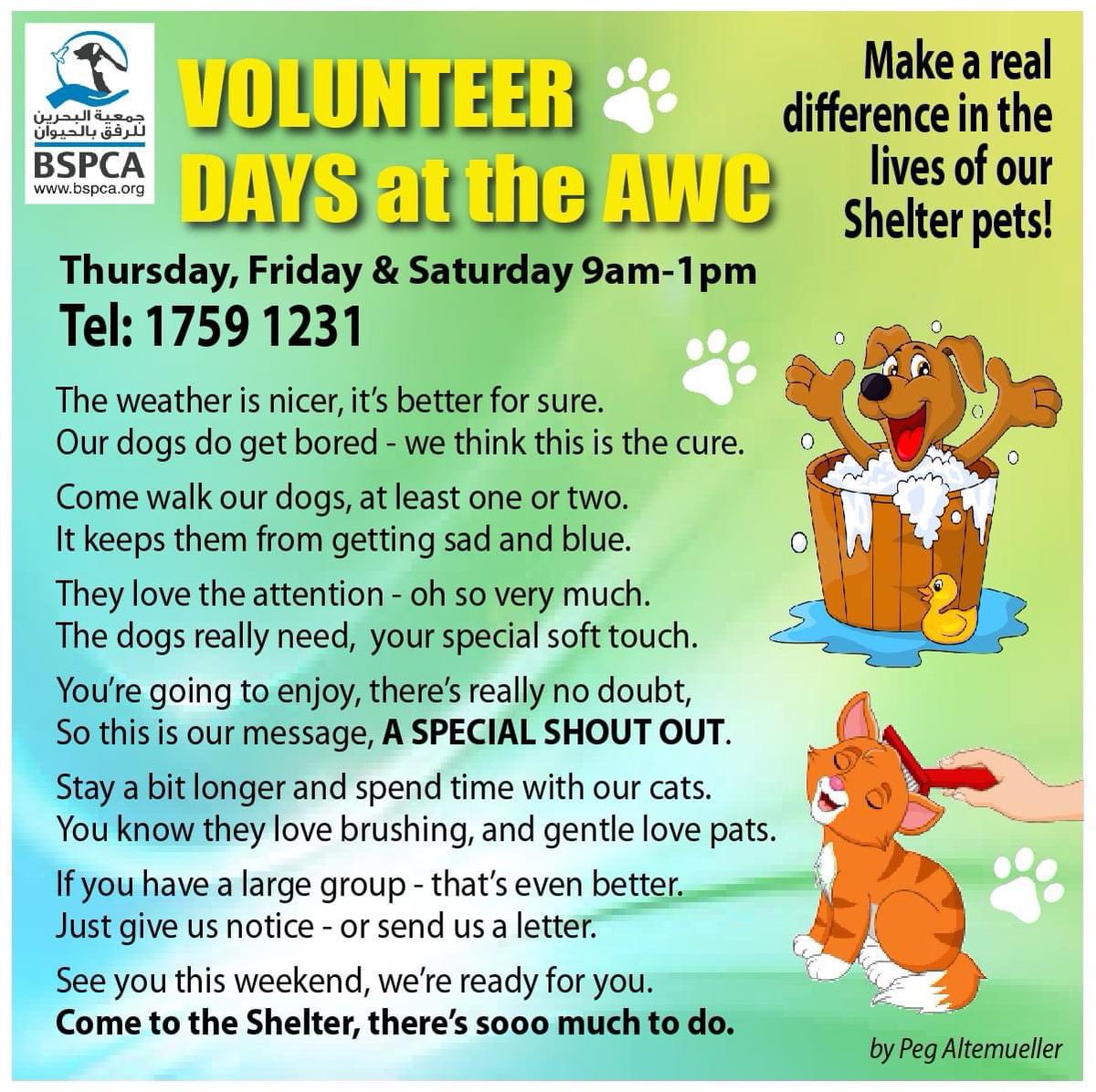 BSPCA_BH's tweet photo. Woah!!! It’s the weekend and we love seeing the volunteers!! 🐶😺

#Bahrain #BSPCA #SPCA #volunteer #adopt #rescue #donate 
#cats #dogs #birds #wildlife #turtles #donkeys https://t.co/BiASBF9iyH