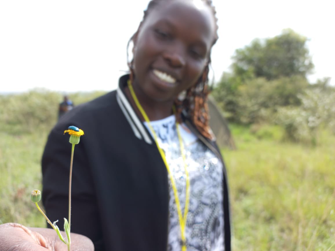 wildlifedirect's tweet image. Happening now! 16 teachers from different parts of Kenya attending the #Explorersmindset workshop facilitated by @kellkoll and @JPainterGeog at the Wildlife Warriors Field Lab!