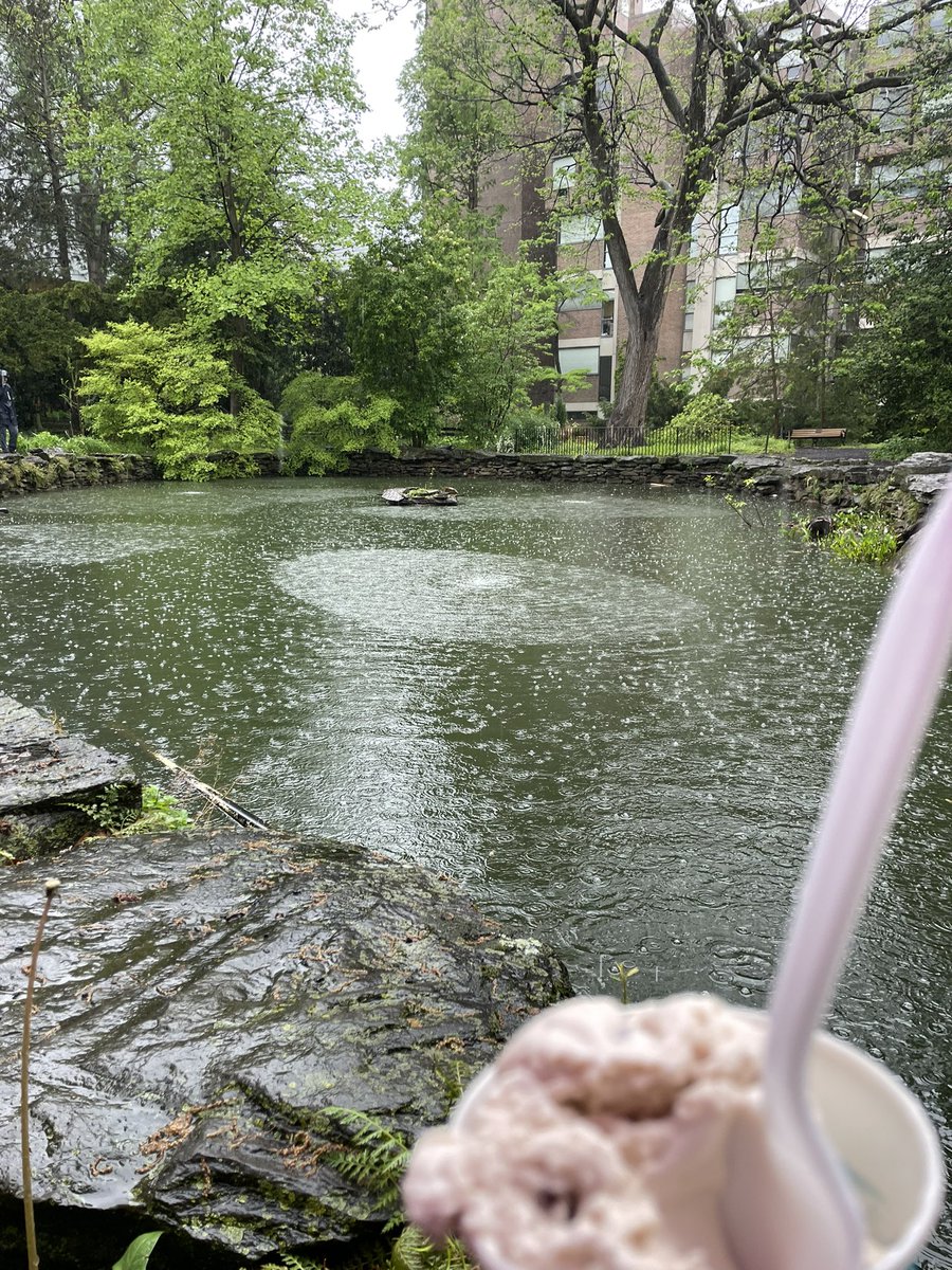 TalentSays's tweet photo. @that_happy_gal #Nature #BioPond #Pennsylvania https://t.co/7qh7V3QBJs