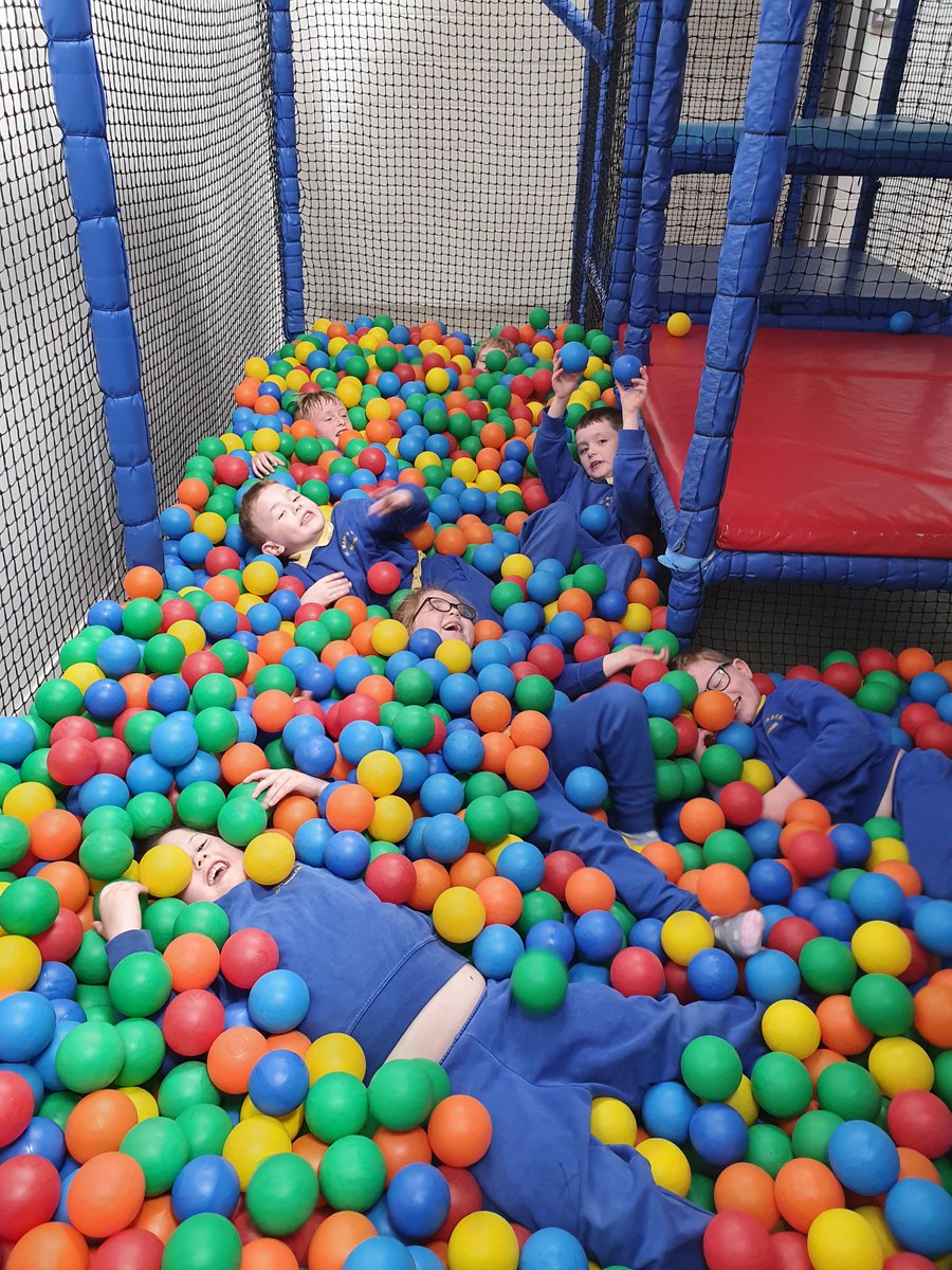 nenaghcns's tweet image. Chatty Kids class at our school tour at Tearaways Petfarm #schooltour #petfarm #schoolfun