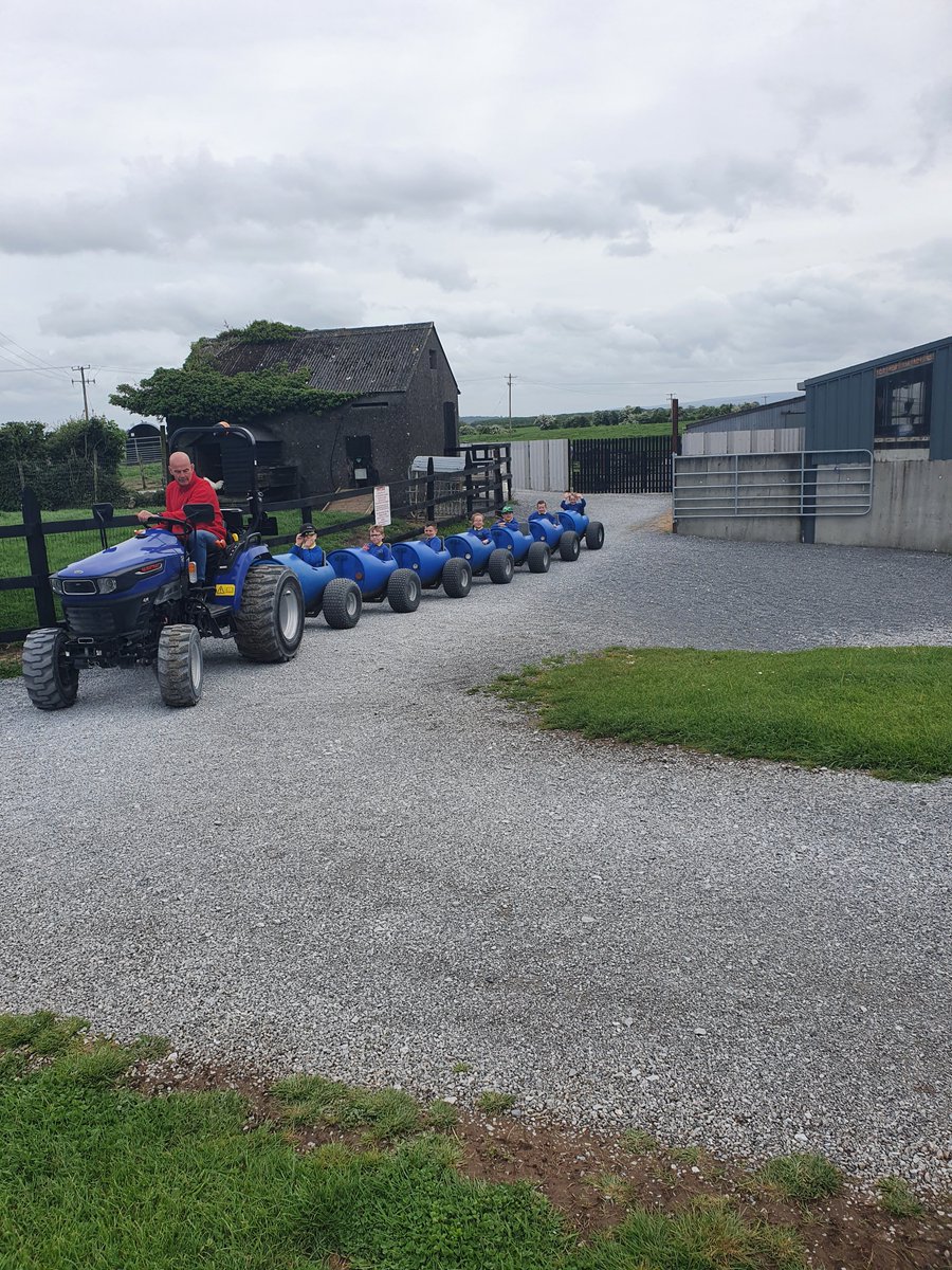 nenaghcns's tweet image. Chatty Kids class at our school tour at Tearaways Petfarm #schooltour #petfarm #schoolfun