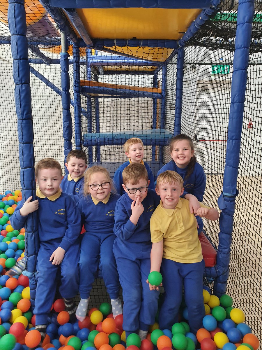 nenaghcns's tweet image. Chatty Kids class at our school tour at Tearaways Petfarm #schooltour #petfarm #schoolfun