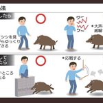 イノシシへの対処法が…クソリプ対策とほぼ同じだったw