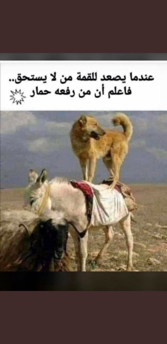 #حمله_تبليك_رهف_ومروج