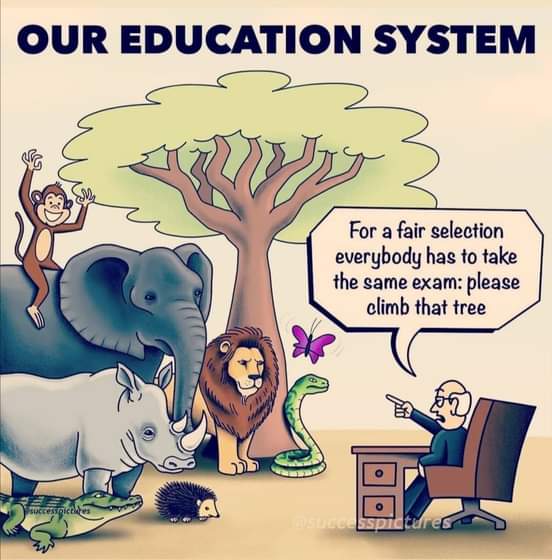 Oee_Sheikh's tweet image. #delay_board_exams2022

Our Education System be Like.....