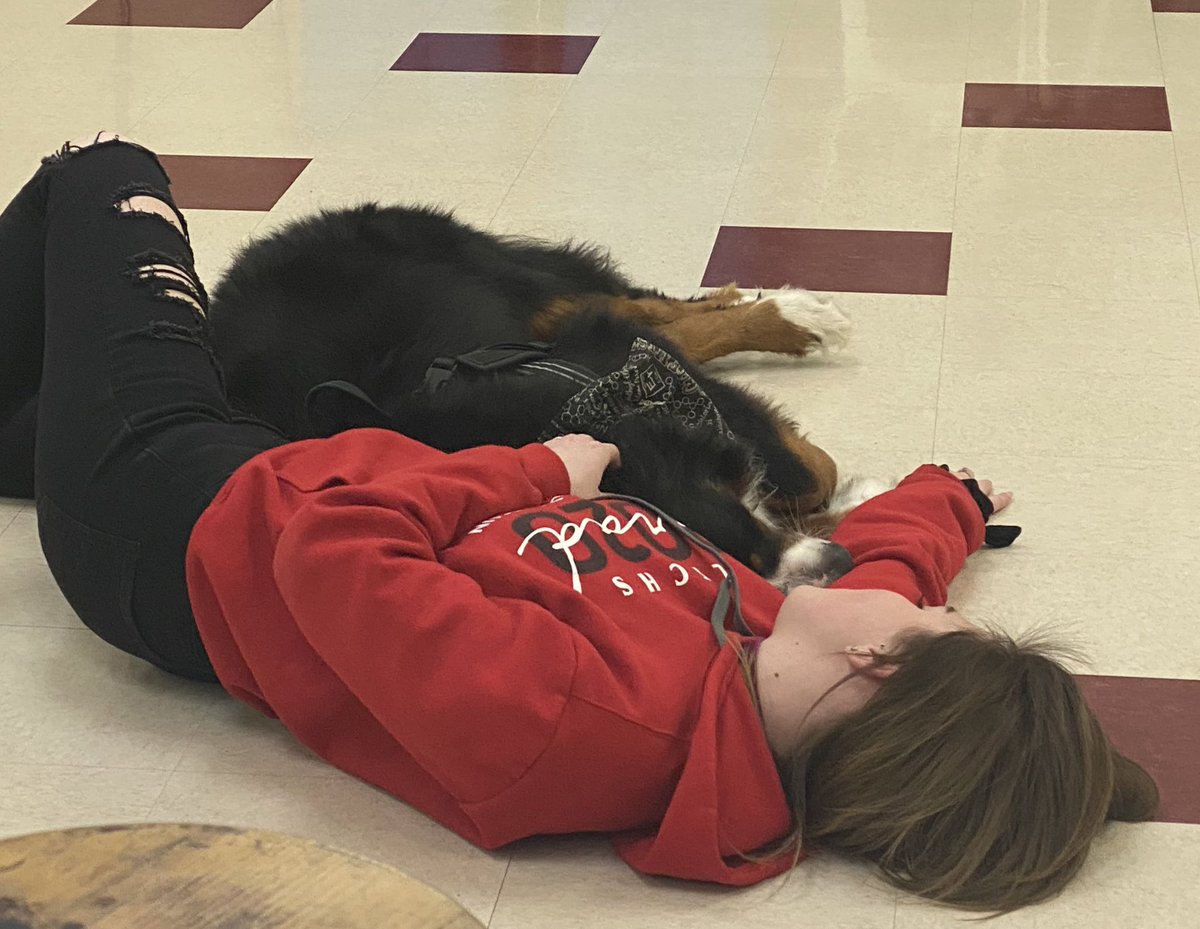 bunsenbernerbmd's tweet photo. Kindness is a super power.
If you can be anything, be kind.
(Pictured is Bunsen lying with a student before their final exam) https://t.co/9HxHQxTtiv
