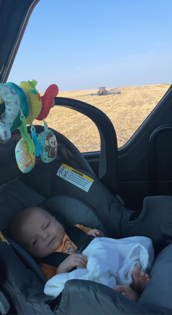 schulzma22's tweet photo. Going to get to spend the day in the planting tractor with daddy again after spending the afternoon yesterday with mommy in the hog building! #farmkid #futurefarmer #plant22 #futurepigfarmer https://t.co/Rm9WYuBLqc