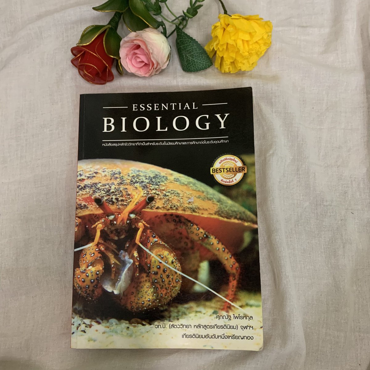 ppeeaare1's tweet photo. Essential biology (เล่มปู)
สภาพ 90%
< Price : 150฿ > ค่าส่ง50฿
ไฮไลต์ +เขียนนิดหน่อย

#dek65 #dek66 #dek67 #ส่งต่อหนังสือ #ส่งต่อหนังสือเตรียมสอบ #ส่งต่อหนังสือเตรียมสอบมือสอง #ส่งต่อหนังสื���สภาพดี #หนังสือเตรียมสอบ #ส่งต่อหนังสือเรียน #หนังสือชีวะ #ชีวะเล่มปู https://t.co/Z2tOfWhe82