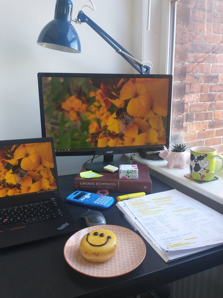 Surprise smiley doughnuts from my mum to keep me going whilst writing up #HappyThursday #phdlife #smile #AcademicTwitter #phdchat
