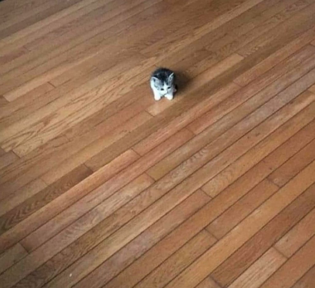 les gens petits je vous vois comme ça