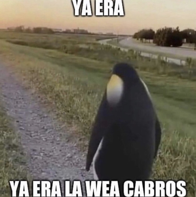 Pachi_FM's tweet photo. Hasta el loli perrito, ya era ya locooo
Se nos viene en un mes más otro confinamiento jsjsjs pinche viruela del mono

#Chile

#ViruelaDelMono
Nosotros en estos momentos 💔 https://t.co/pknmFS7QLH