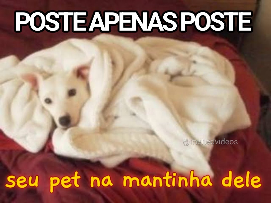 meltedvideos's tweet photo. só pra esquentar essa rede social tão gélida https://t.co/RlwFmVXOGU