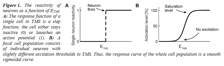 We typically define the spatial specificity of TMS in terms of the electric field. However, the non-linear response behavior of neurons affects the spatial resolution of TMS, which hence depends also on the stimulation intensity. ijbem.org/volume23/numbe…